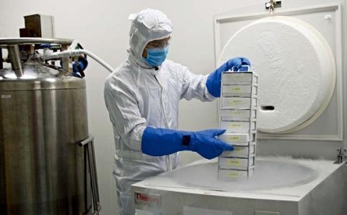 低溫冰箱 低溫冰箱